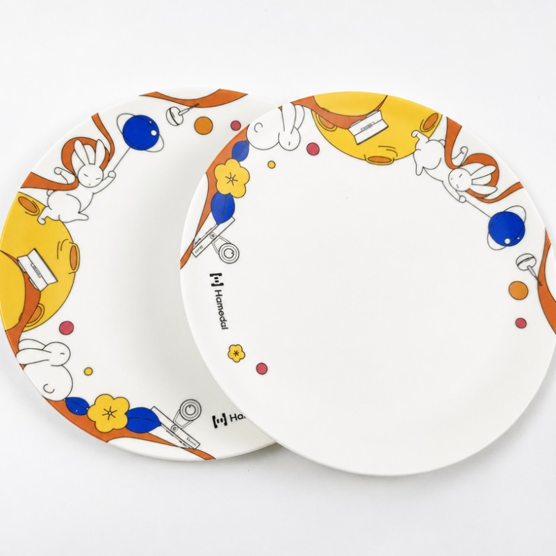 Ovocné salátové talíře na zakázku z bambusového vlákna Ins-Style